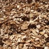 eucalyptus wood chips