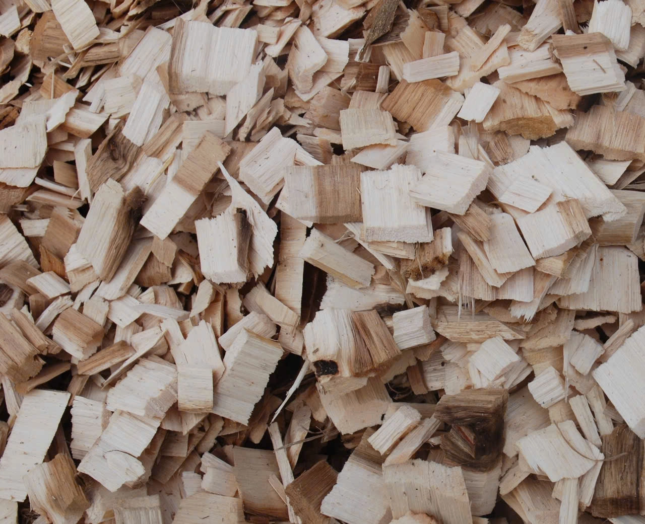 acacia wood chips